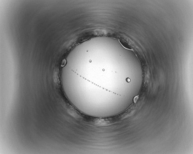 X0000116150616200911301542