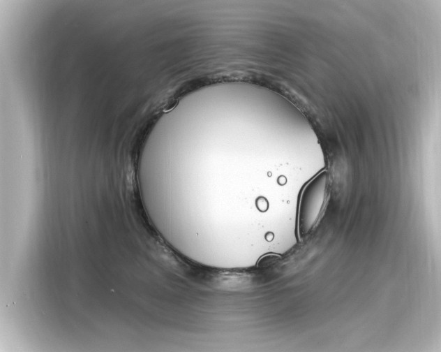 X0000116150617200911301542