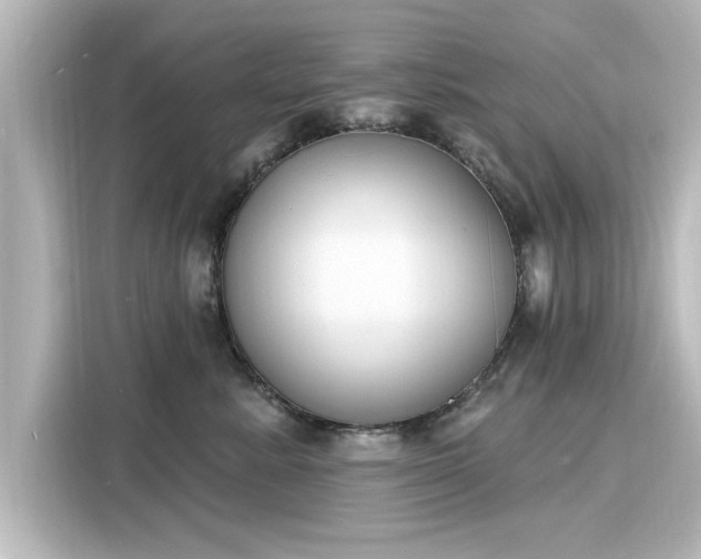 X0000116150619200911301542