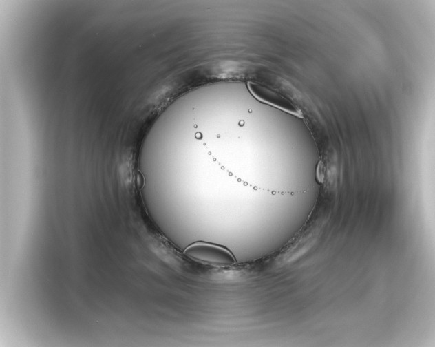 X0000116150620200911301542