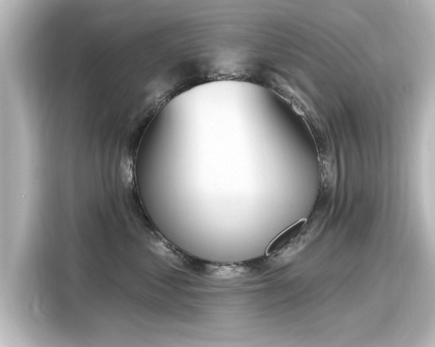 X0000116150621200911301542