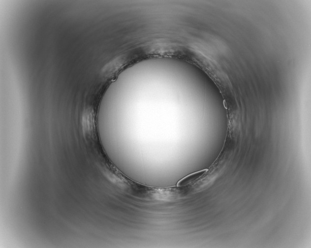 X0000116150623200911301542