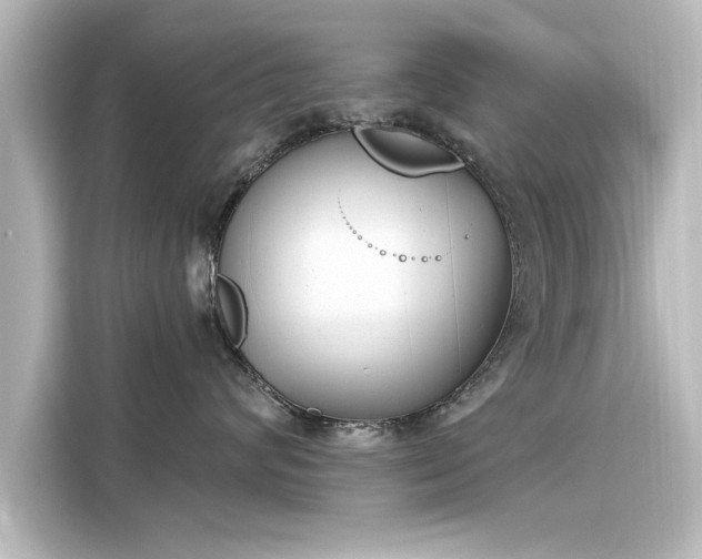 X0000116150624200911301542