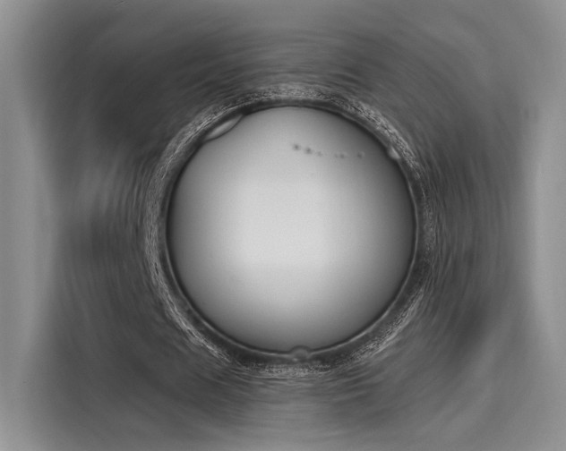 X0000116150625200911301541