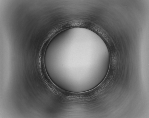 X0000116150626200911301541