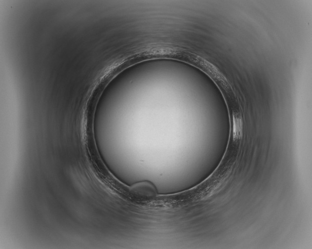 X0000116150627200911301541