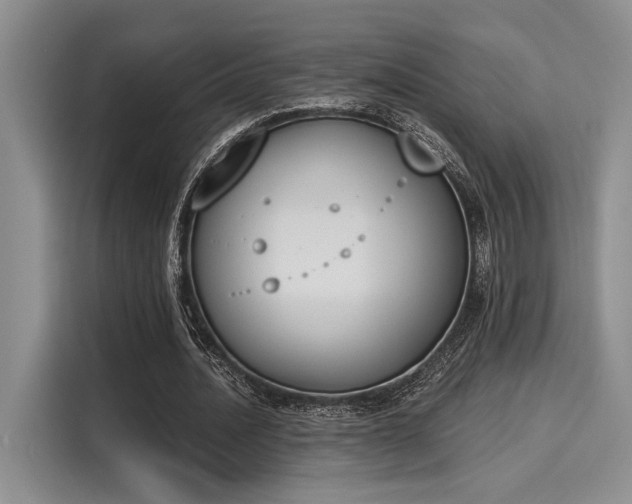 X0000116150628200911301541