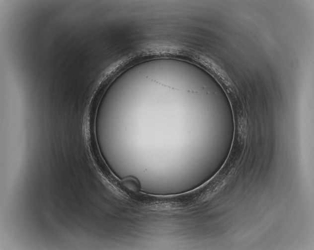 X0000116150629200911301541