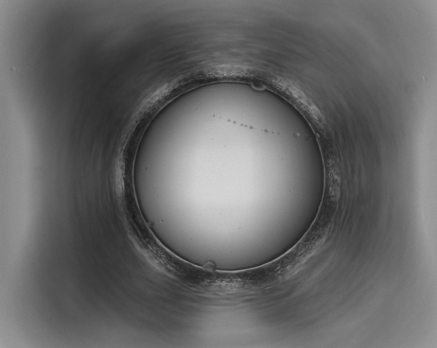 X0000116150631200911301541