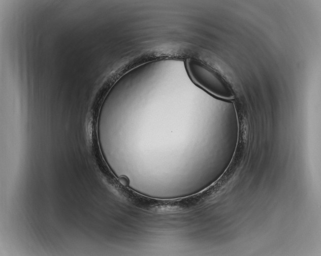 X0000116150637200911301541