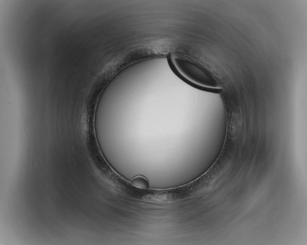 X0000116150639200911301541