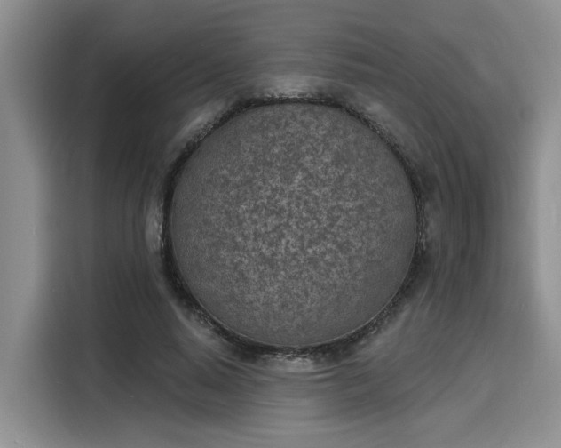 X0000116150640200911301541