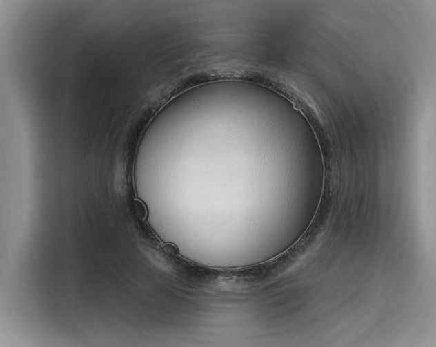 X0000116150641200911301541