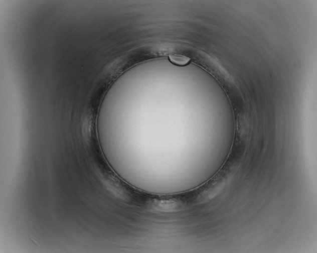 X0000116150645200911301541