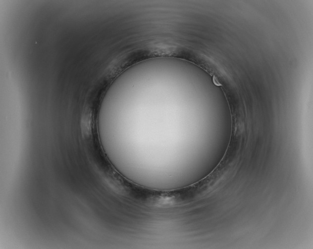 X0000116150647200911301541