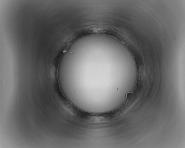 X0000116150650200911301541