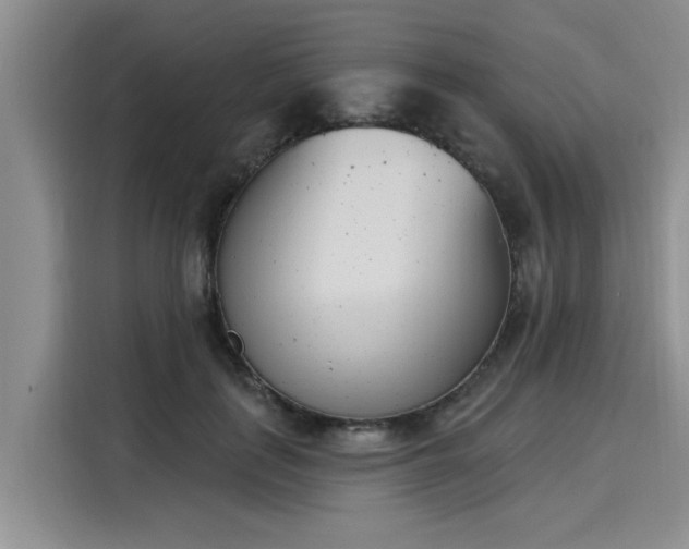 X0000116150651200911301541