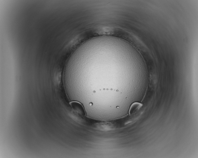 X0000116150652200911301542