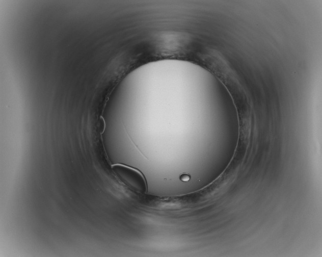 X0000116150653200911301542