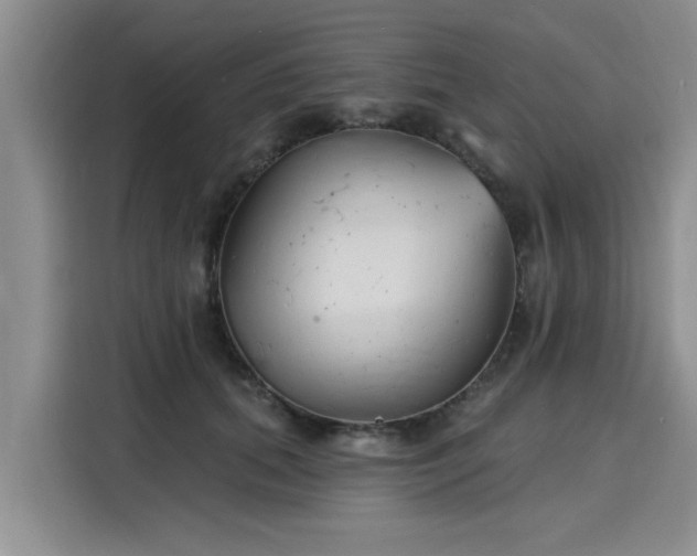 X0000116150655200911301542