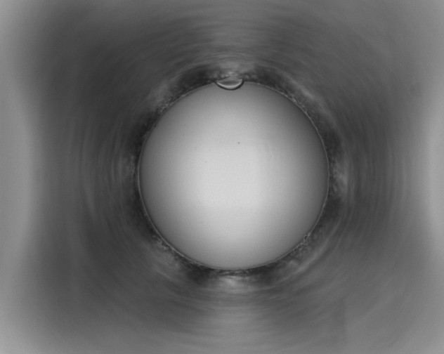 X0000116150657200911301542