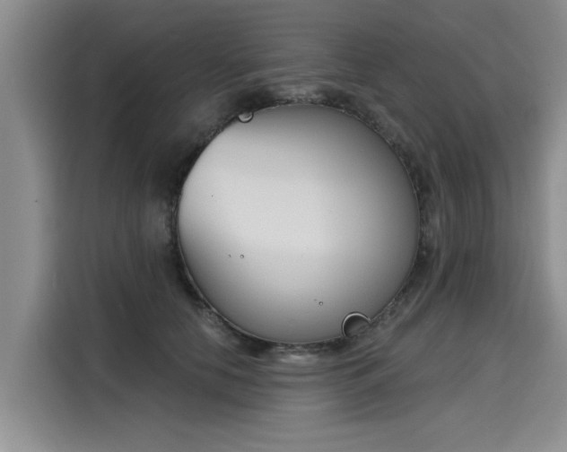 X0000116150658200911301542