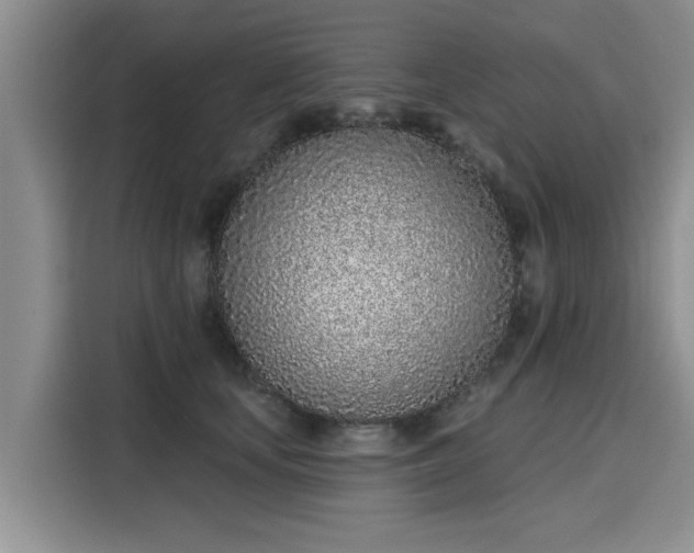 X0000116150659200911301542