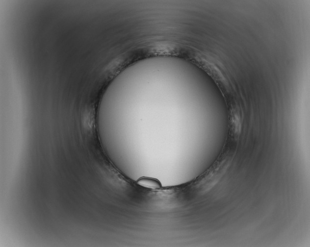 X0000116150665200911301542