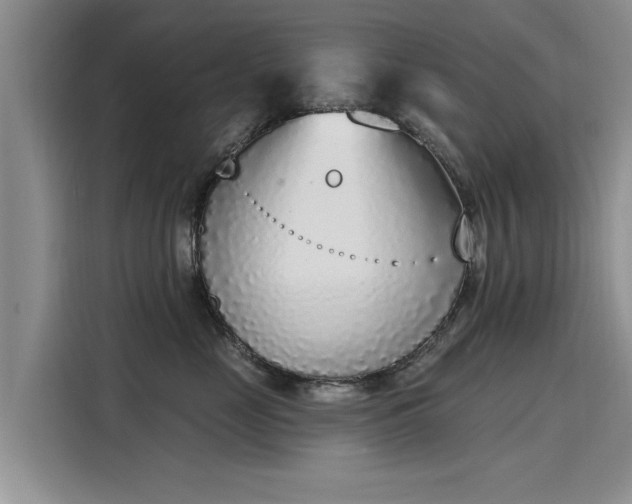 X0000116150669200911301542