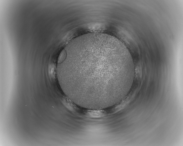 X0000116150671200911301542