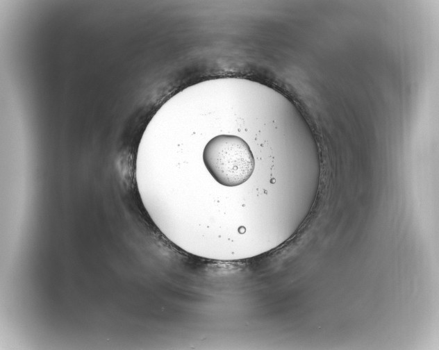 X0000116150672200911301542