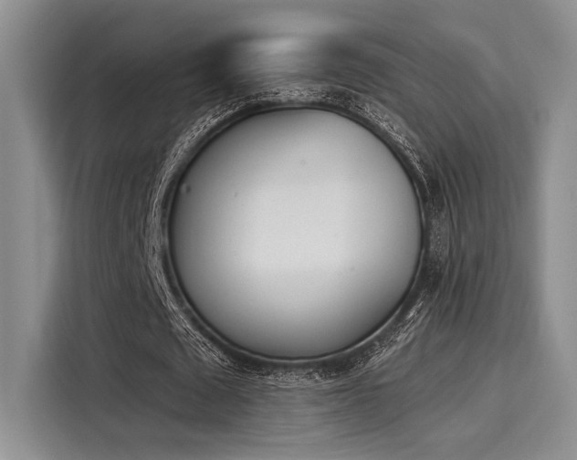 X0000116150673200911301541