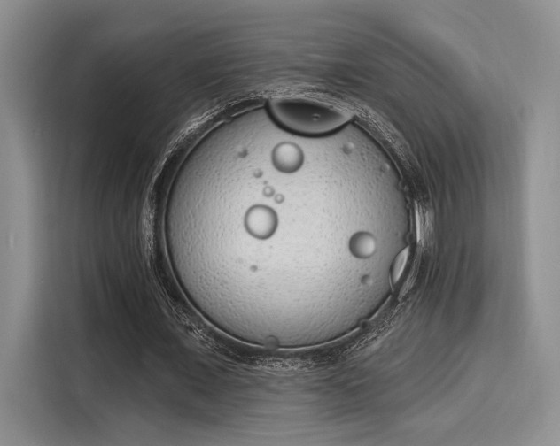 X0000116150675200911301541