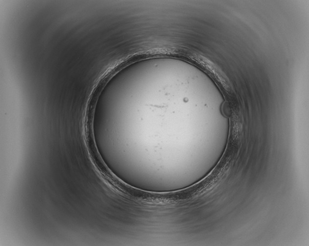 X0000116150677200911301541