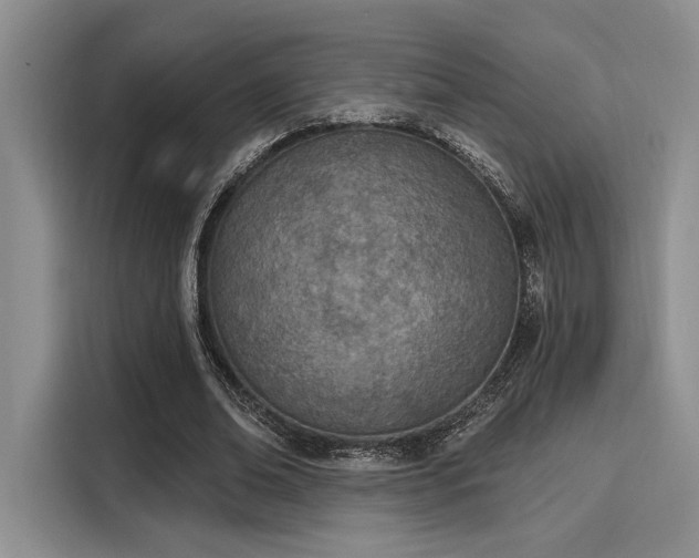 X0000116150678200911301541