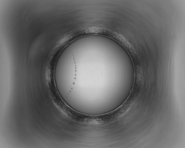 X0000116150683200911301541