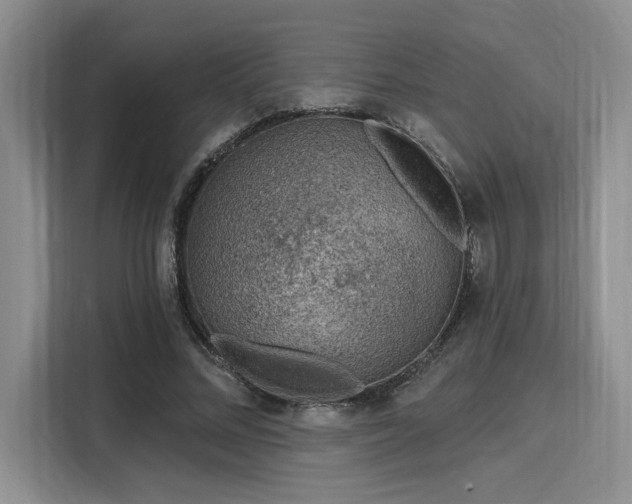 X0000116150684200911301541