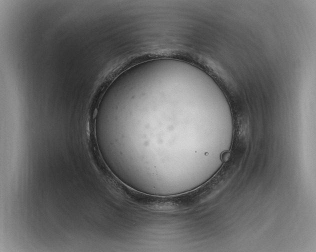 X0000116150685200911301541