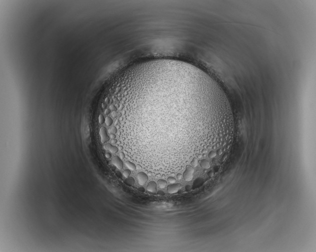 X0000116150687200911301541