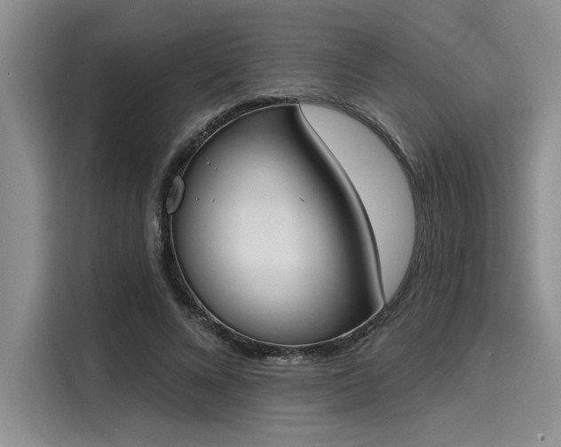 X0000116150688200911301541