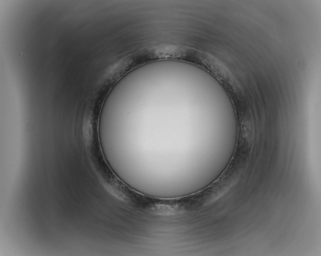 X0000116150690200911301541