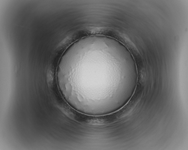 X0000116150691200911301541