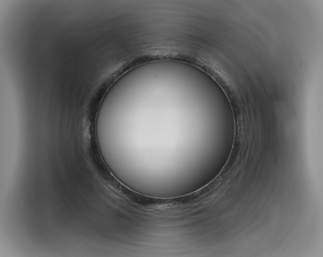 X0000116150692200911301541