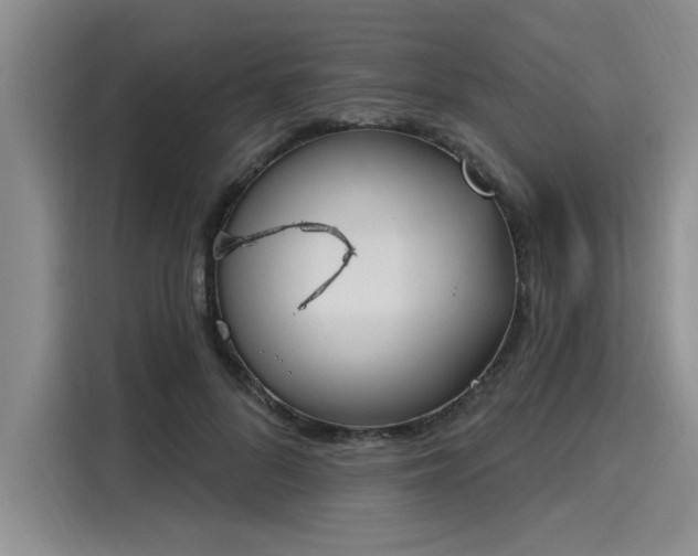 X0000116150696200911301541