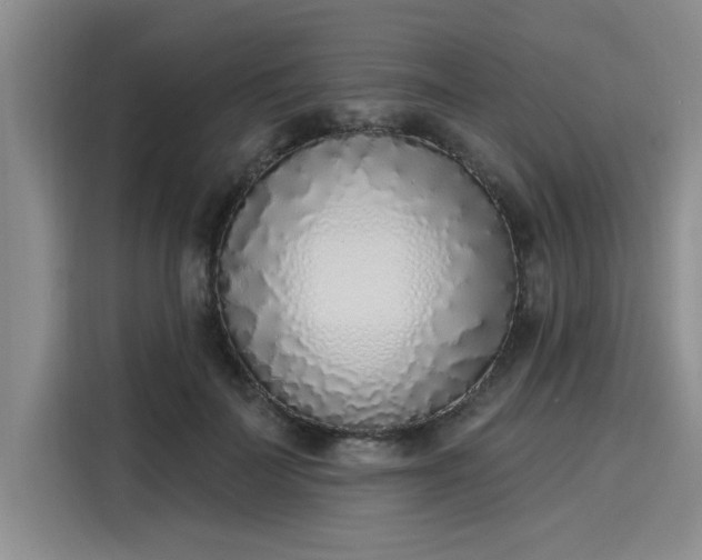 X0000116150699200911301541