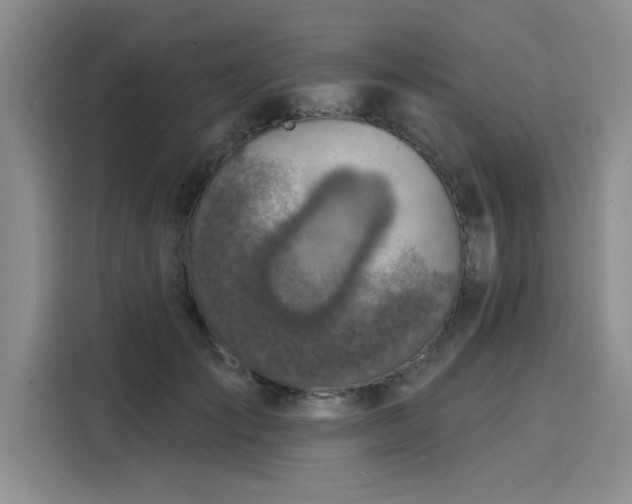 X0000116150701200911301541