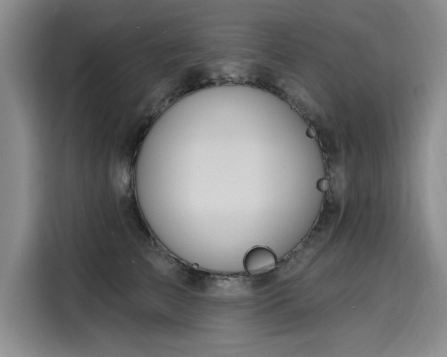 X0000116150709200911301541