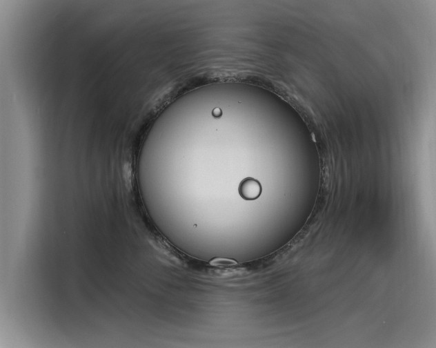 X0000116150716200911301541