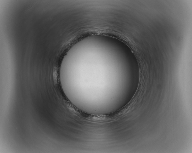 X0000116150720200911301541