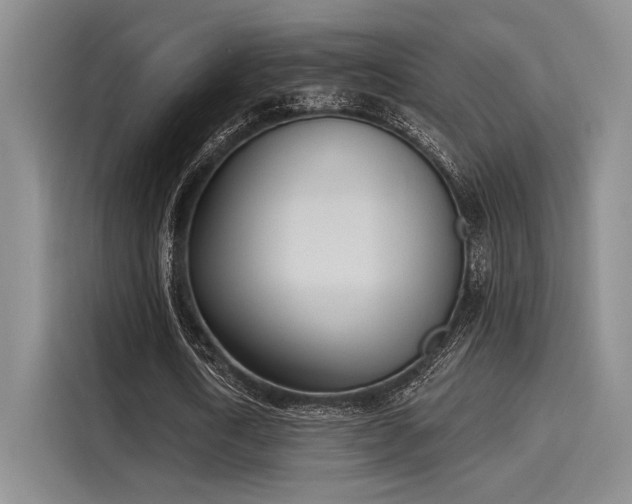 X0000116150722200911301540